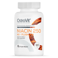 Niacin 250 NO-FLUSH (90табл)