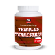 Tribulus Terrestris (40капс)